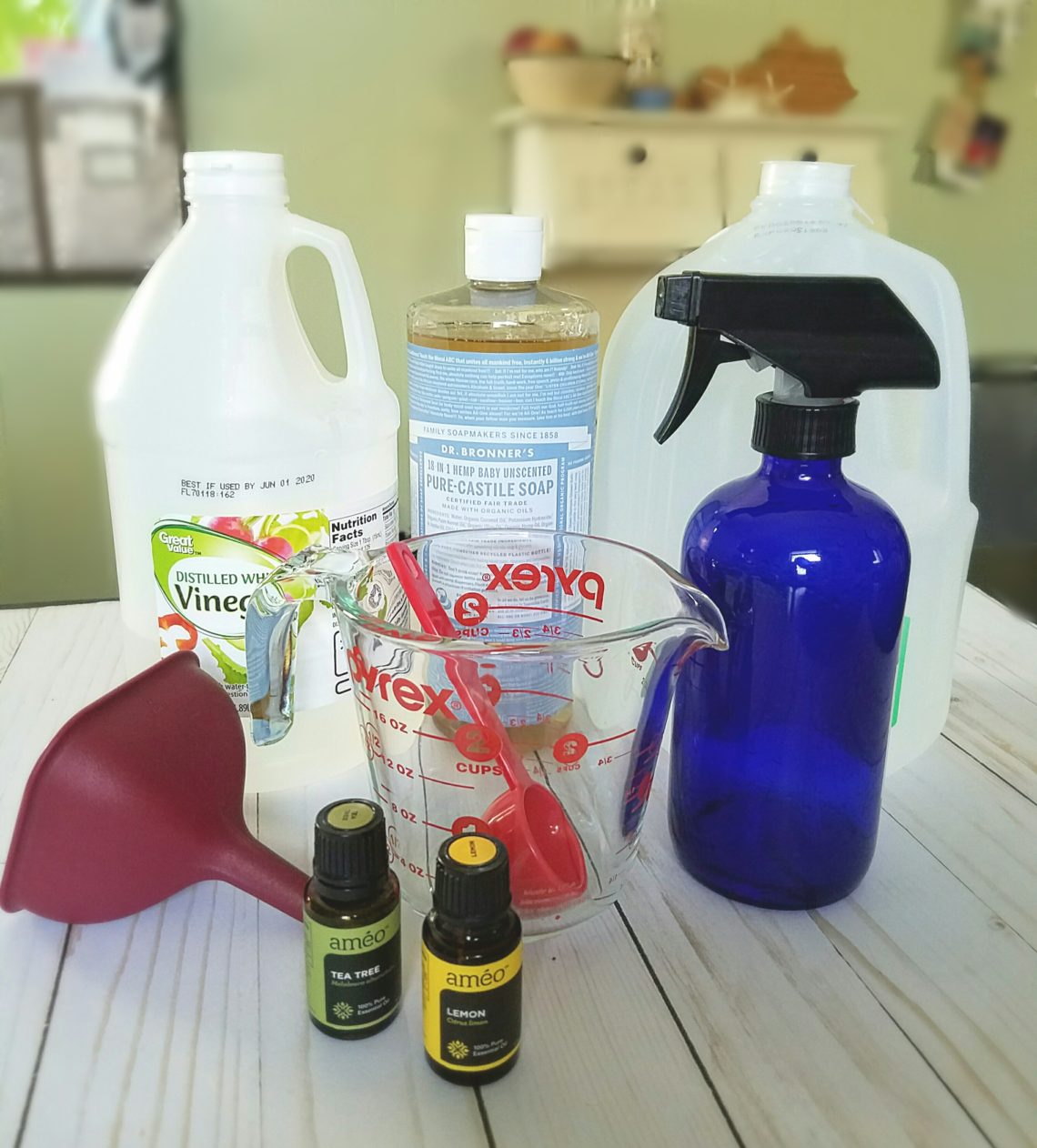 DIY Natural Kitchen Cleaner The Bourbon Cactus